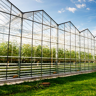 農(nóng)業(yè)種植